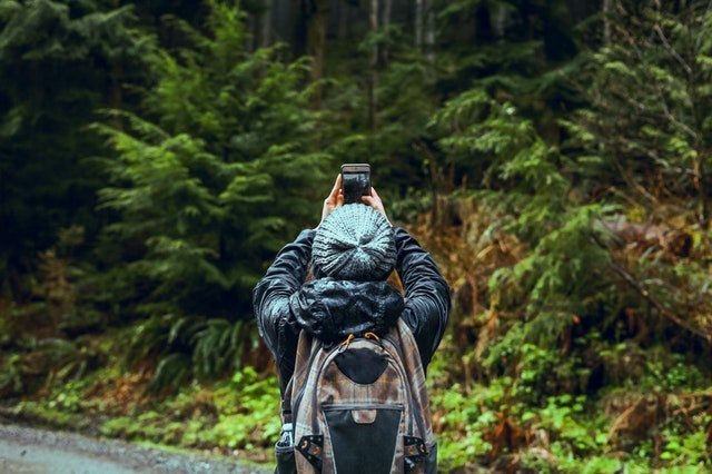 Camano Ridge Forest Preserve